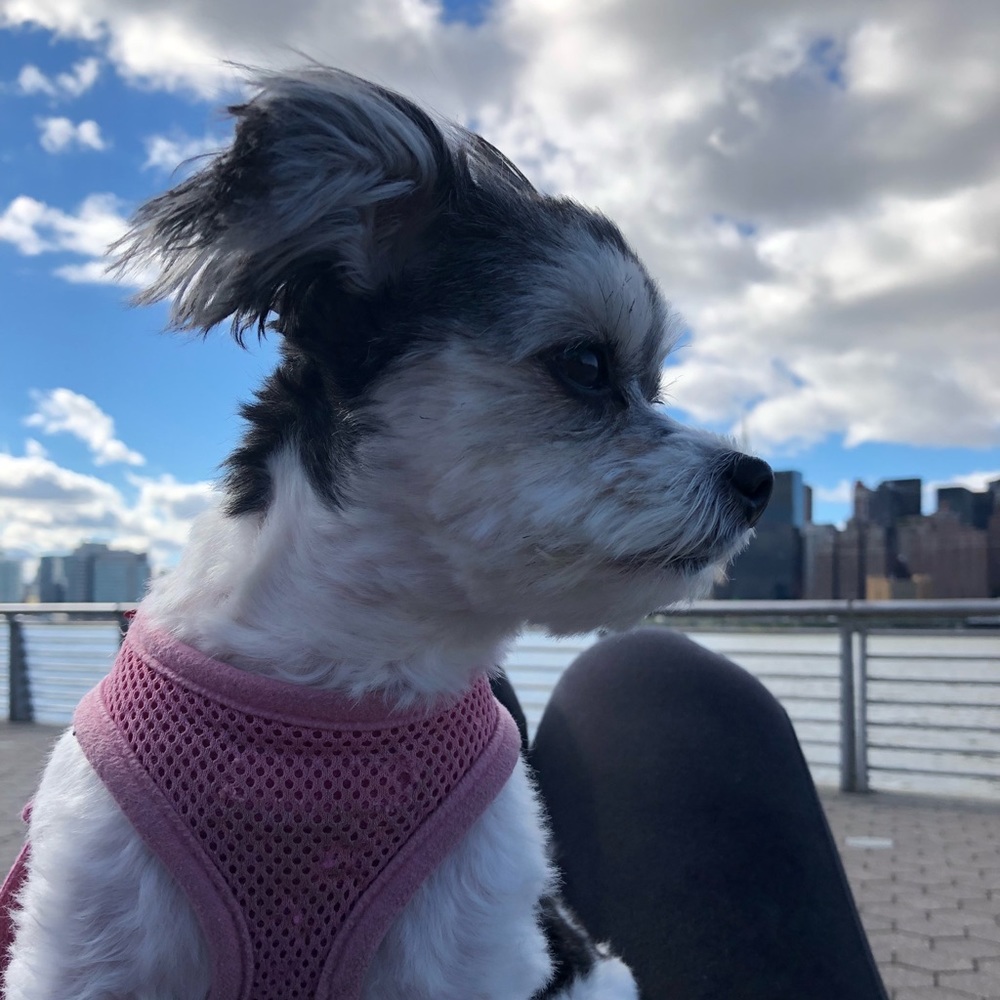 Meet your Posher, Naina